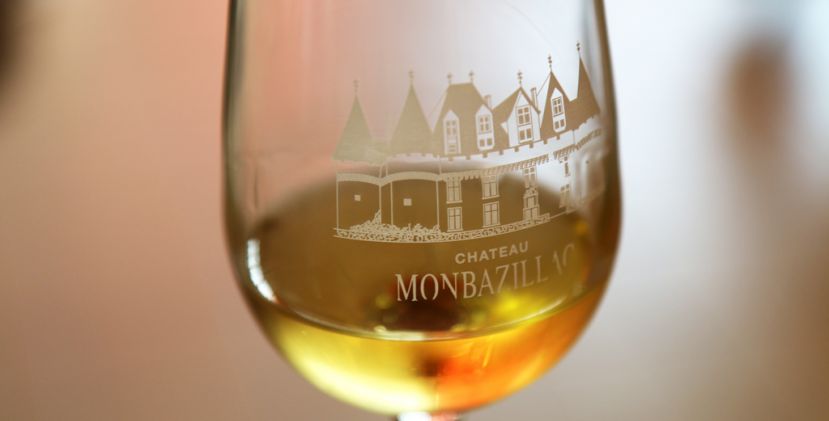 Come with me in the heart of the monbazillac h ...
