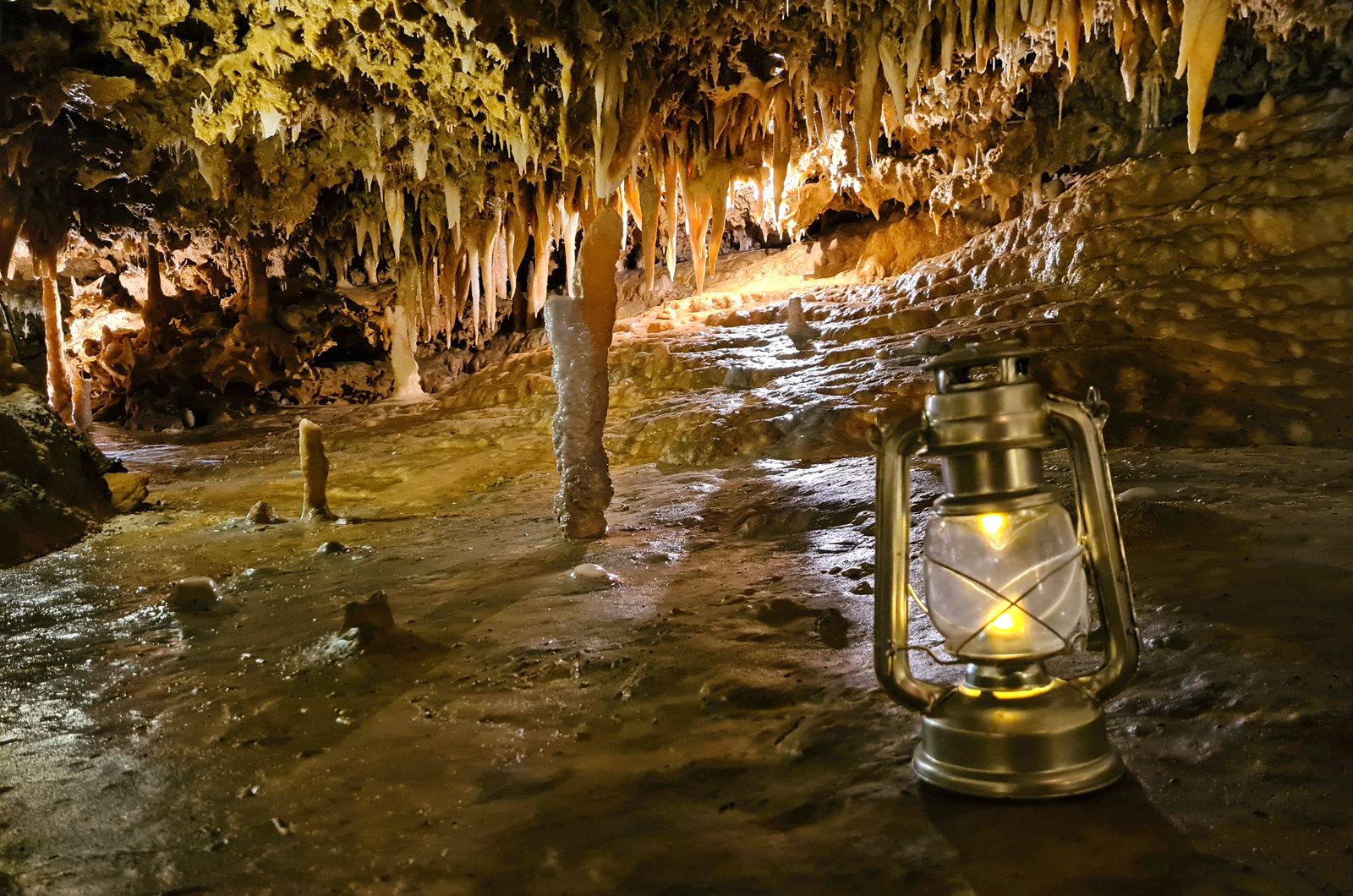 La Grotte du Grand Roc : Visites nocturnes à l ...