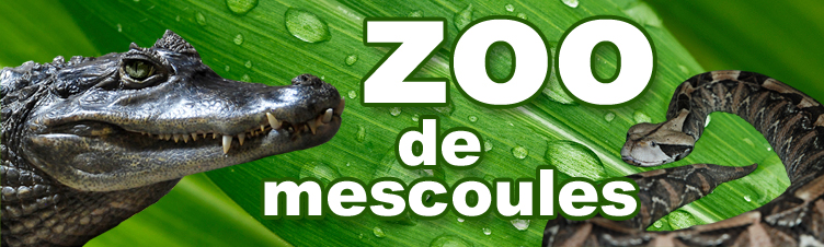 site de rencontre voir mariage