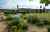 Dîner en trompe l'oeil | Chartreuse du Bignac
