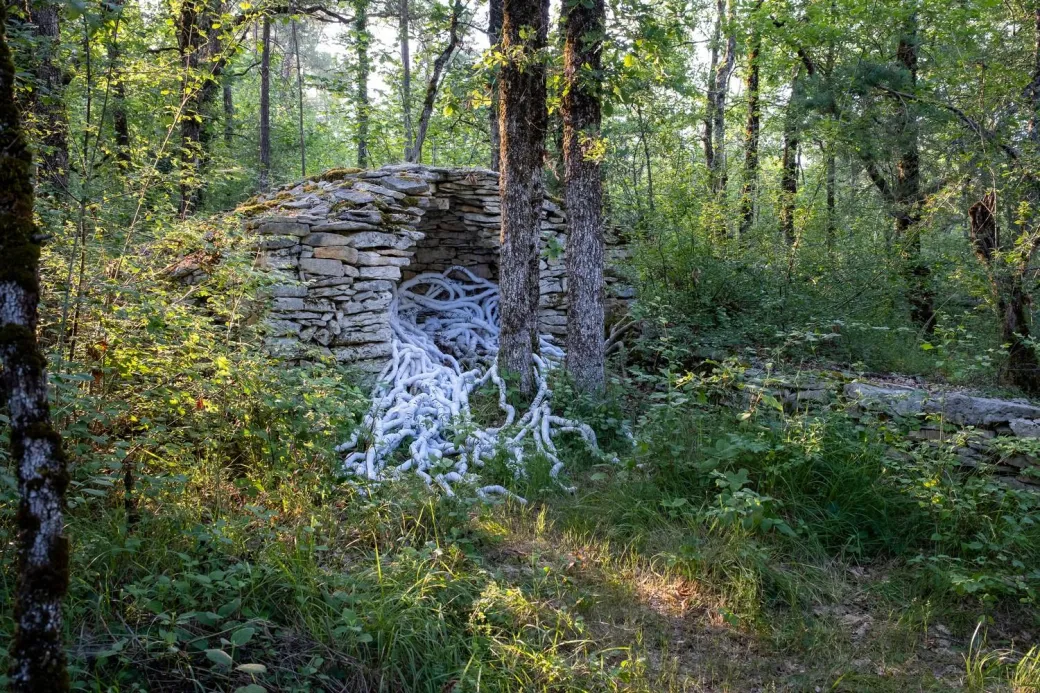 Exposition Art sur le ... - Crédit: Naturellement Périgord | CC BY-NC-ND 4.0