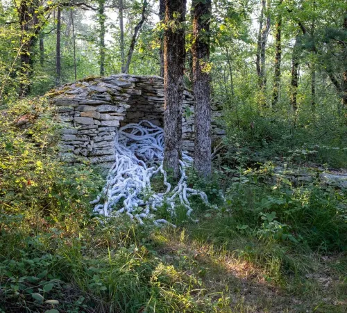 Exposition Art sur le Causse