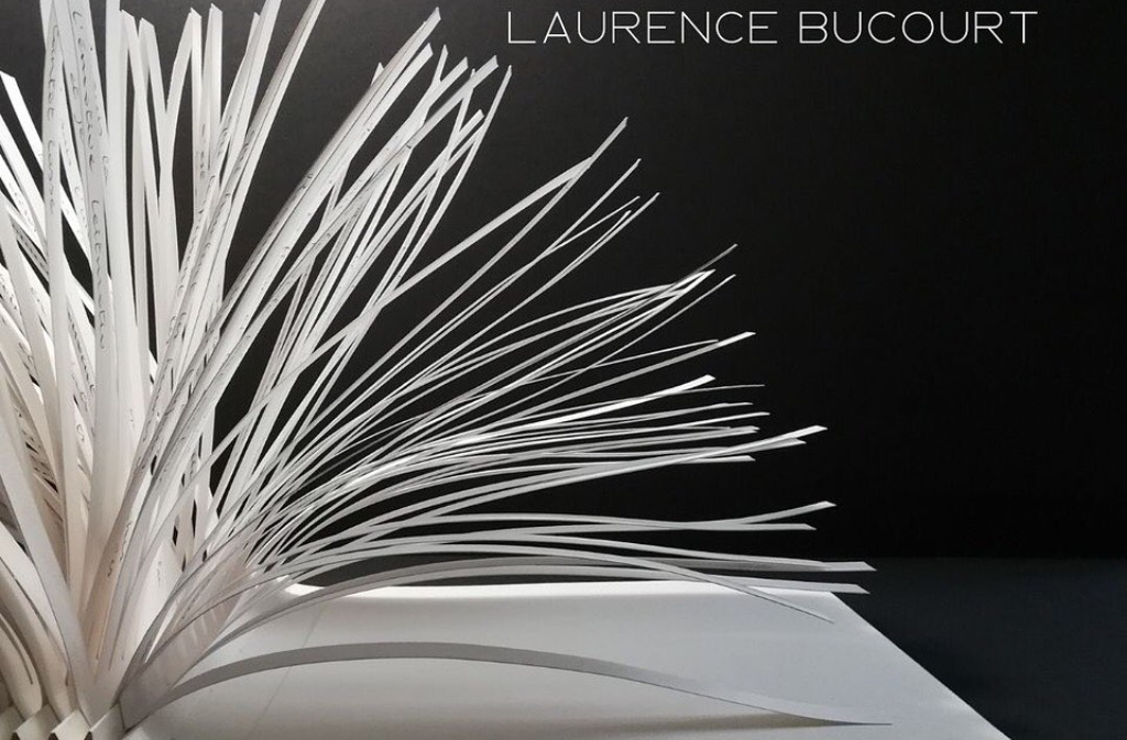 Exposition | Laurence Bucourt "Paperolles"