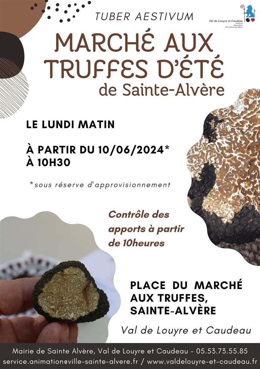 Marché aux truffes d'été à Sainte-Alvère - à p ...