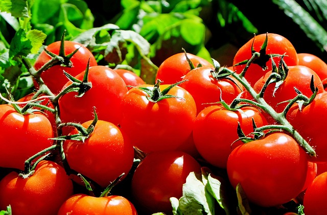 Marché du samedi à Sa ... - Crédit: pixabay | CC BY-NC-ND 4.0