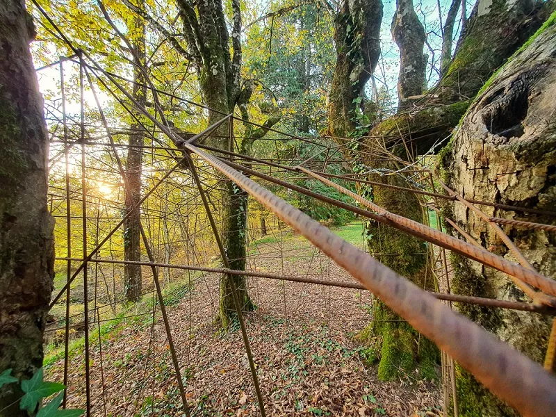 Promenade-découverte ... - Crédit: Benoît Rocher | CC BY-NC-ND 4.0