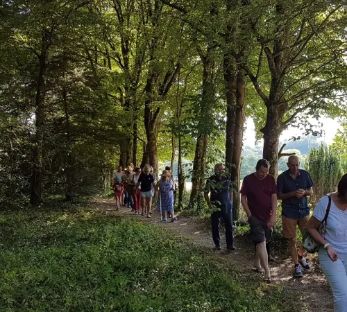 Promenade-découverte au jardin d'hélys-oeuvre