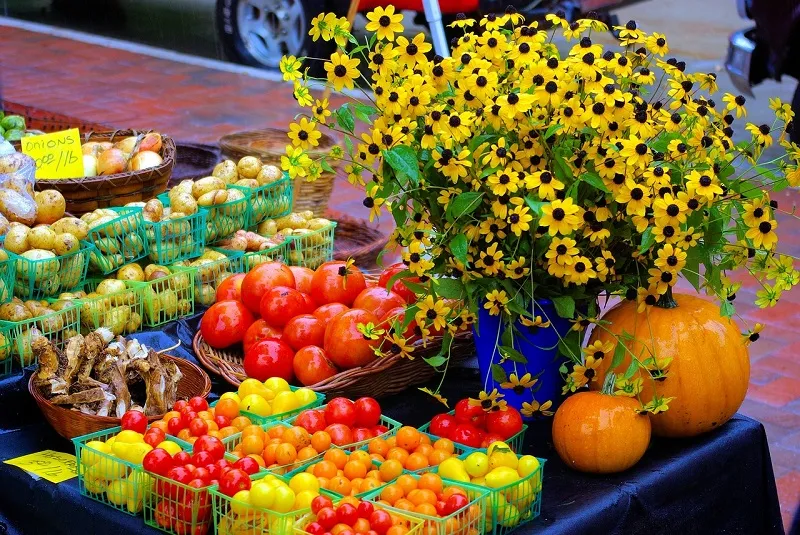 Marché de Belvès - Crédit: pixabay | CC BY-NC-ND 4.0