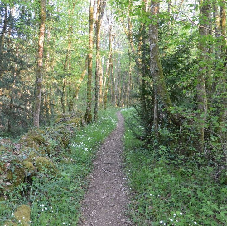 Téléthon Pas-Cap - VTT, trail et marche
