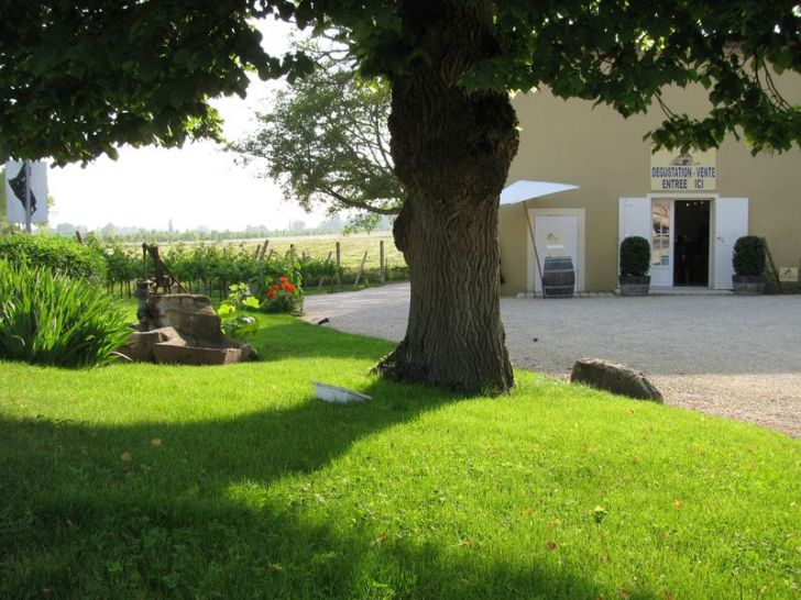 Visite guidée de la propriété