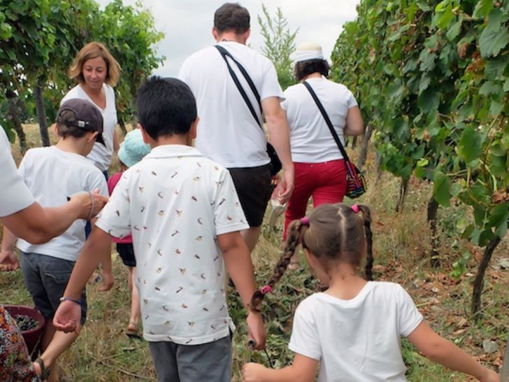 Géocaching Terra Aventura