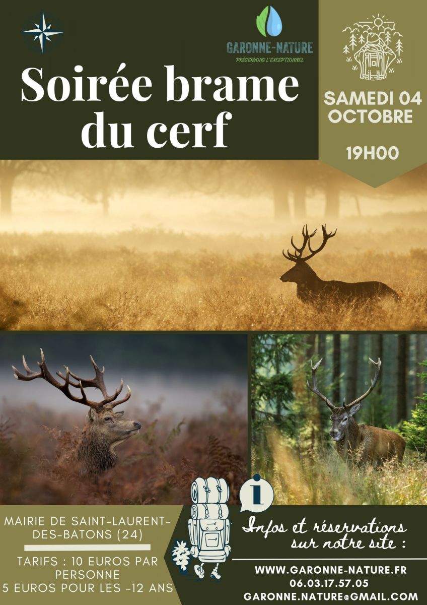 Brame du cerf