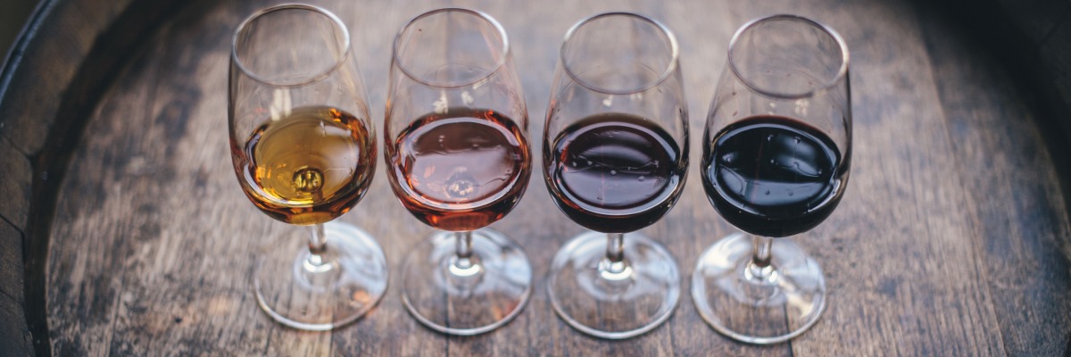 Chai Bordin - Dégustation de vins