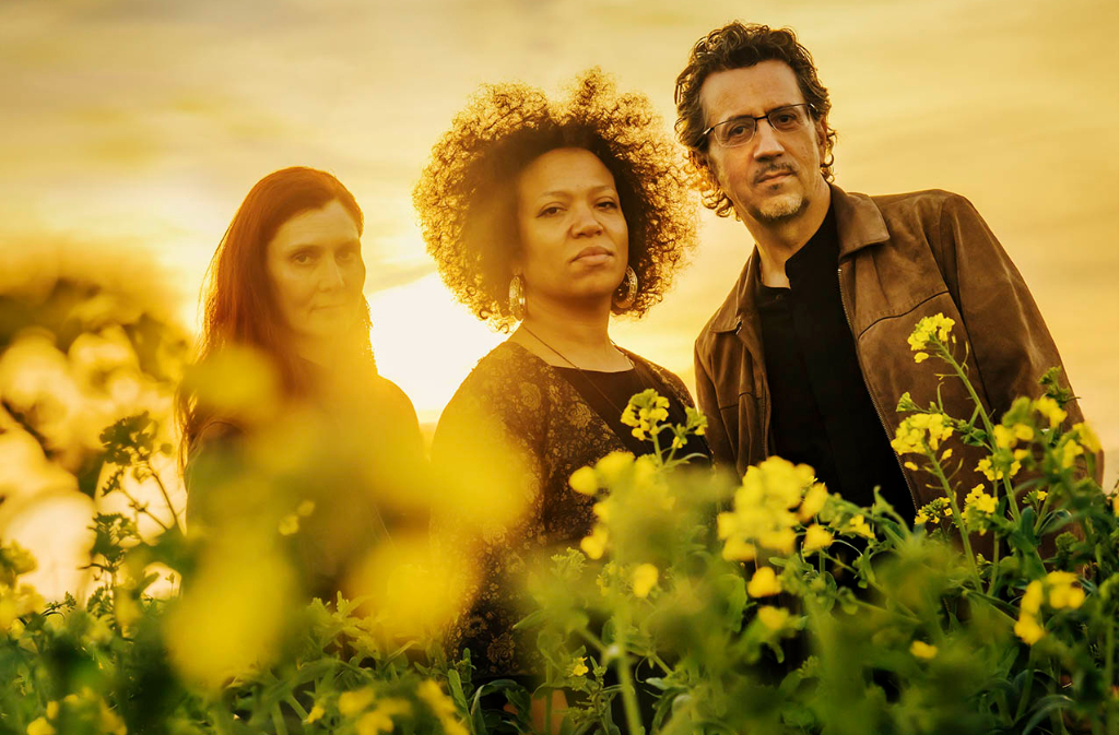 Jazz Off' | Bruno Angelini trio "Lotus Flowers"