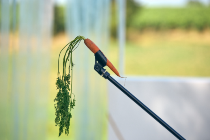 Stage de théâtre | Découverte du Kamishibai - ...