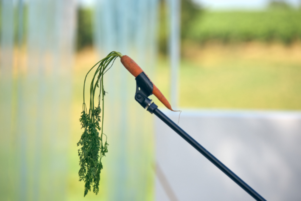 Stage | Découverte d'un texte classique - "Cyr ...