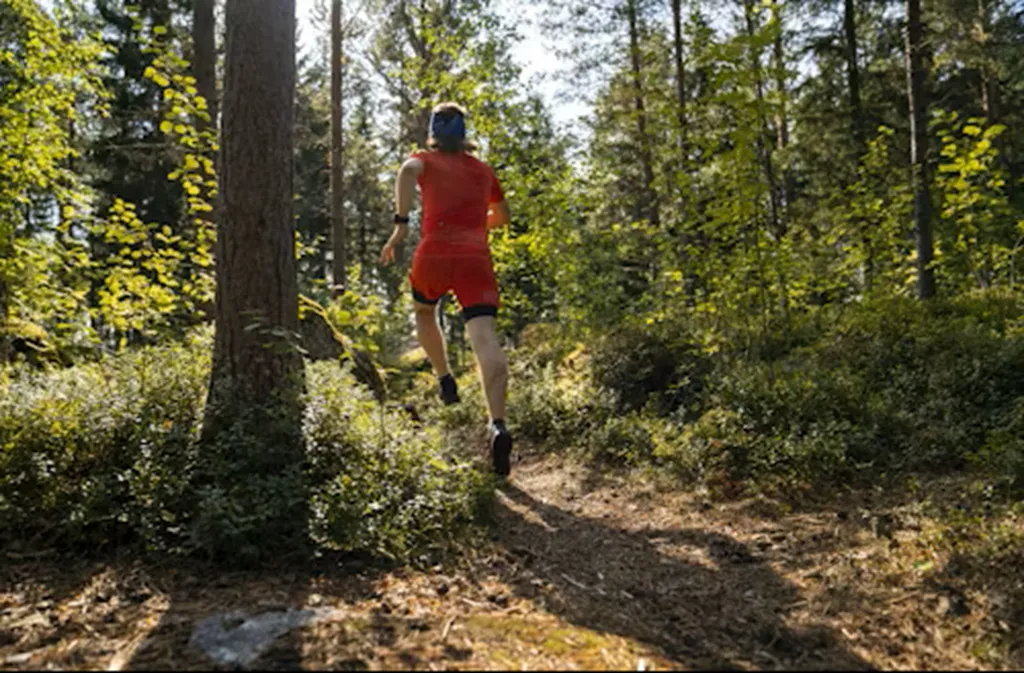 5ème édition Bayac trail - Crédit: asso bayac trail | CC BY-NC-ND 4.0