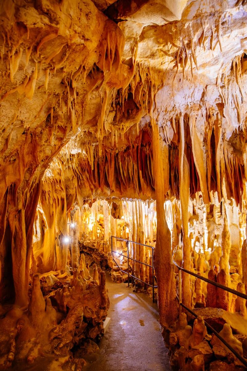 Enigme à la grotte de Villars : A la recherche ...