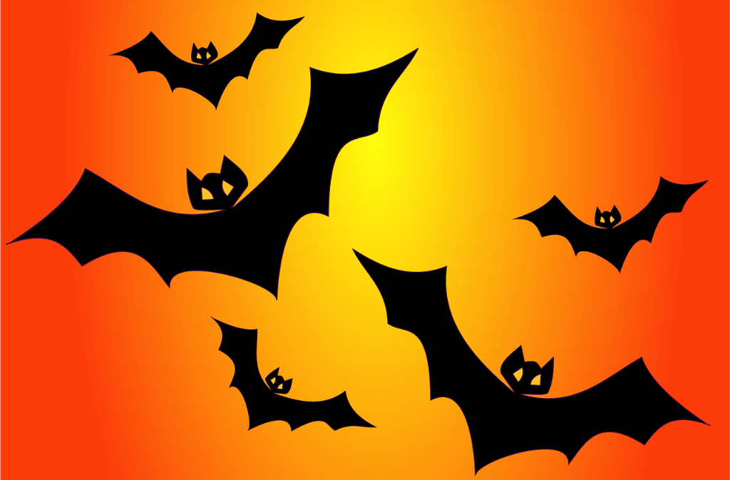 Fête d'Halloween - Crédit: . | CC BY-NC-ND 4.0