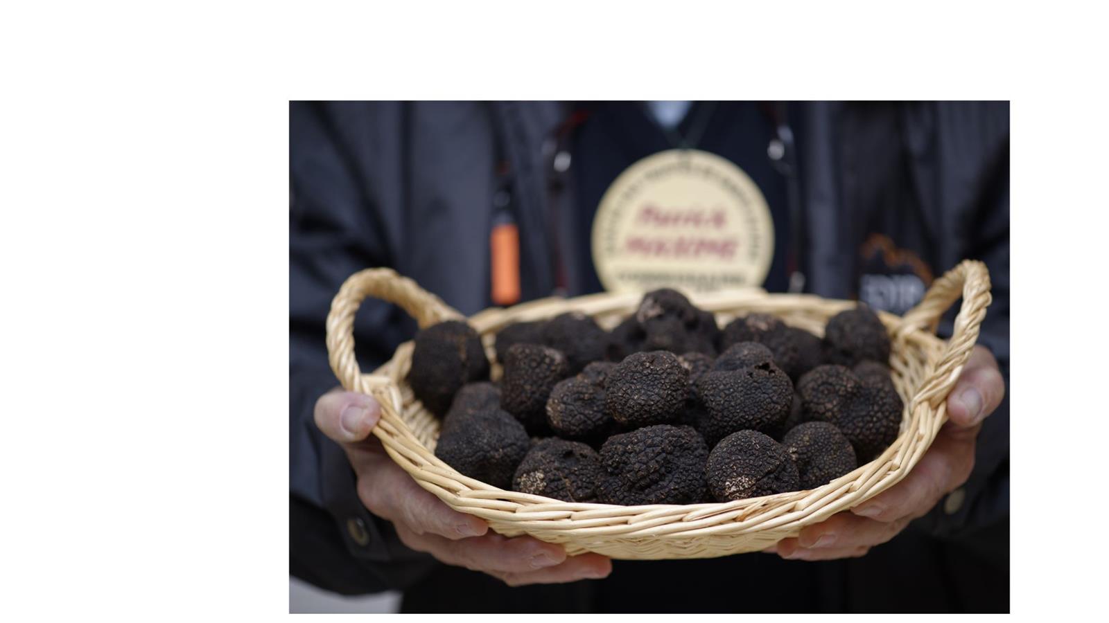 Marché aux truffes - Dimanches matins Décembre ...