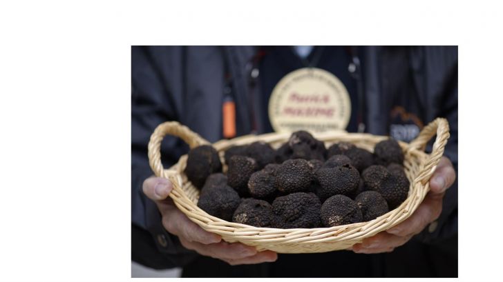 Marché aux truffes - Dimanches matins Décembre ...