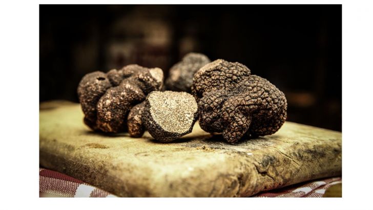 Les rencontres de la trufficulture - 28 janvie ...