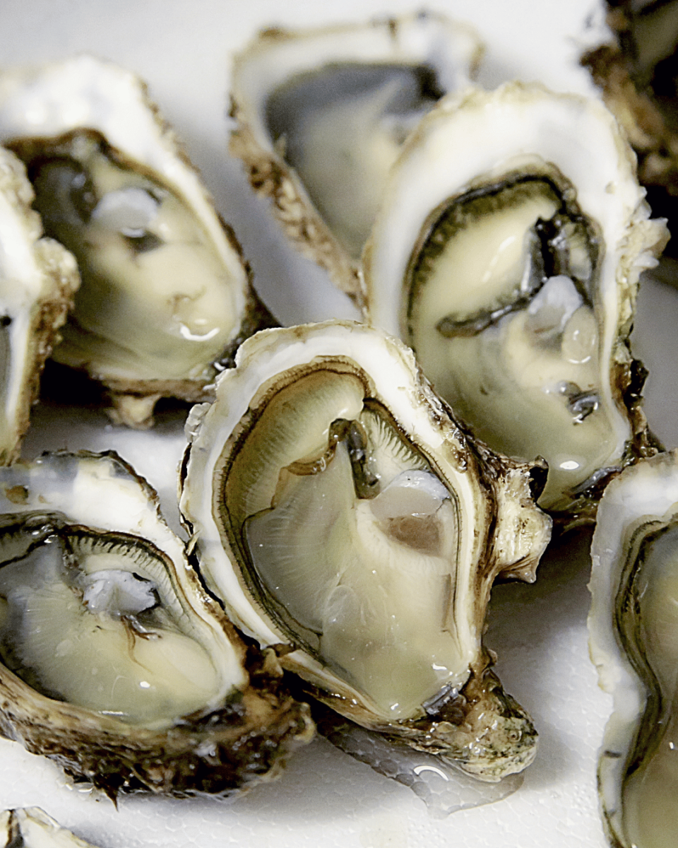 Dimanche en Mer... et en Verre !