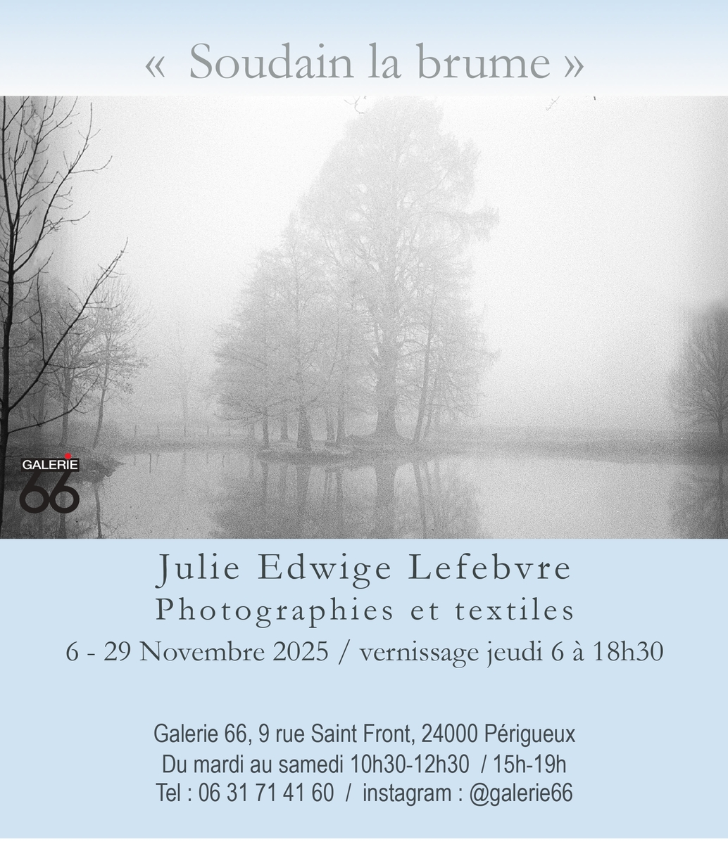 Exposition - "Soudain la brume" - Julie Edwige ...