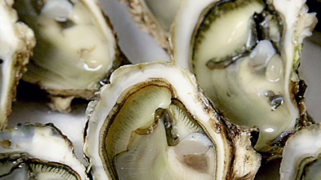 Dimanche en Mer... et en Verre !