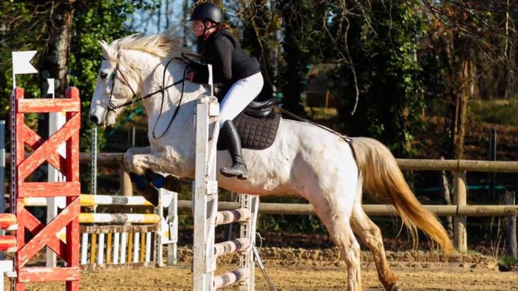 Concours de saut d’obstacles - Trélissac