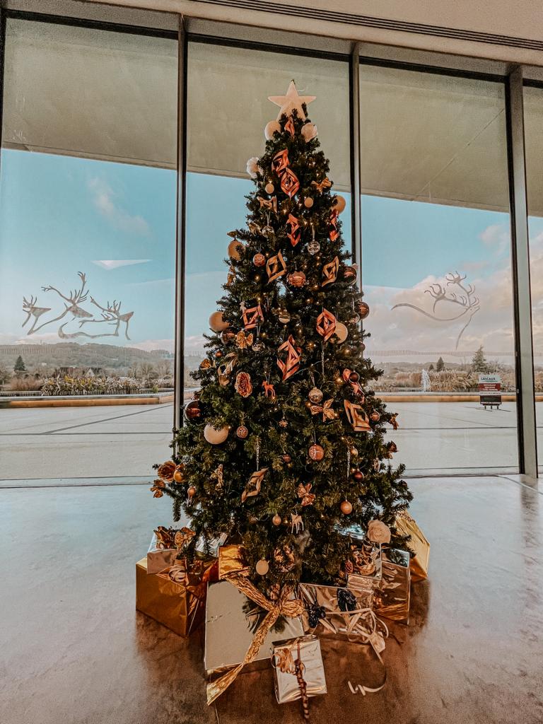 Photographe hall avec Père Noël à Lascaux IV