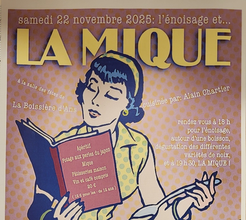 Soirée énoisage et mique