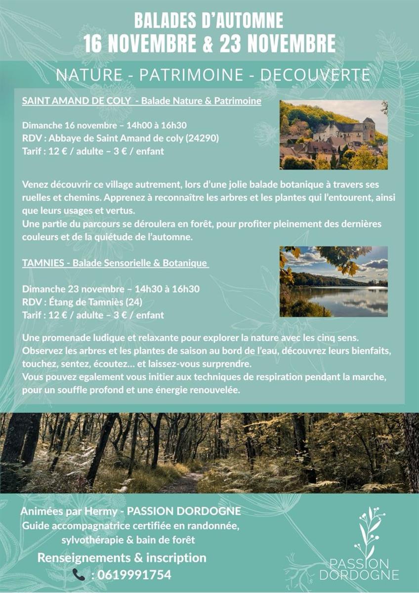 Balade sensorielle & botanique à Tamniès