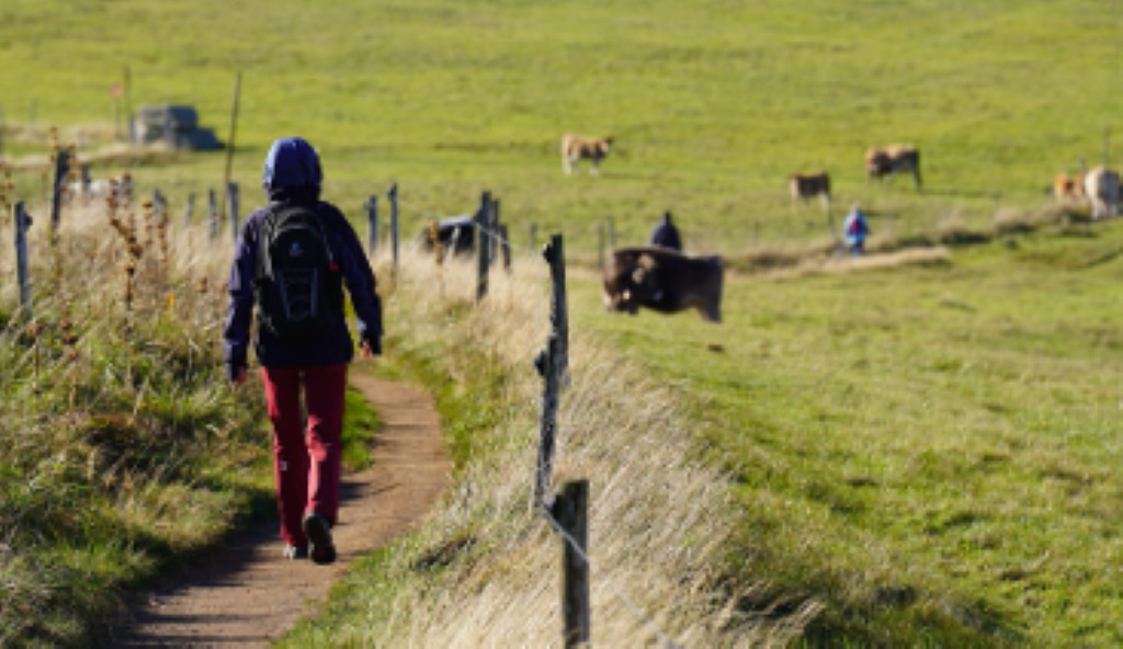 Téléthon Monbazillac | Marche