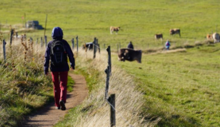 Téléthon Monbazillac | Marche