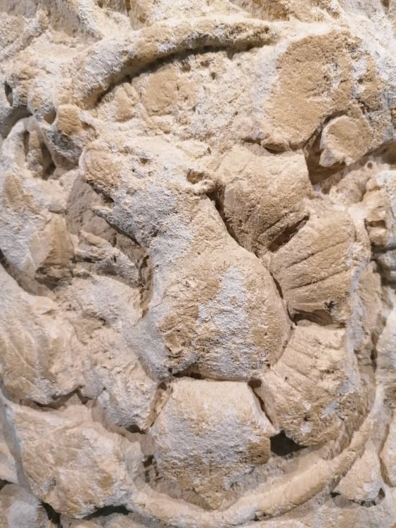 Les vacances au musée