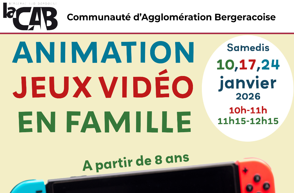 Animation jeux vidéo en famille