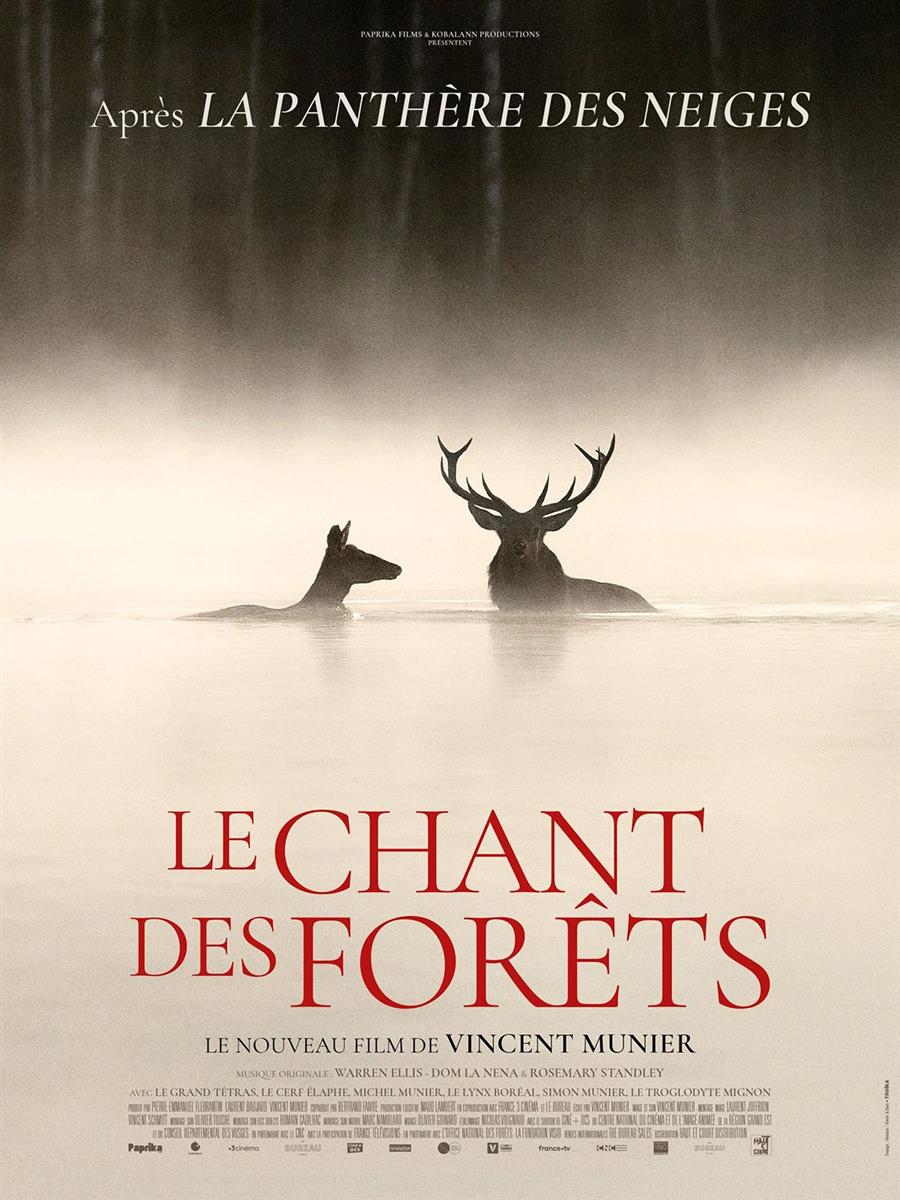 Ciné Passion - Le chant des forêts