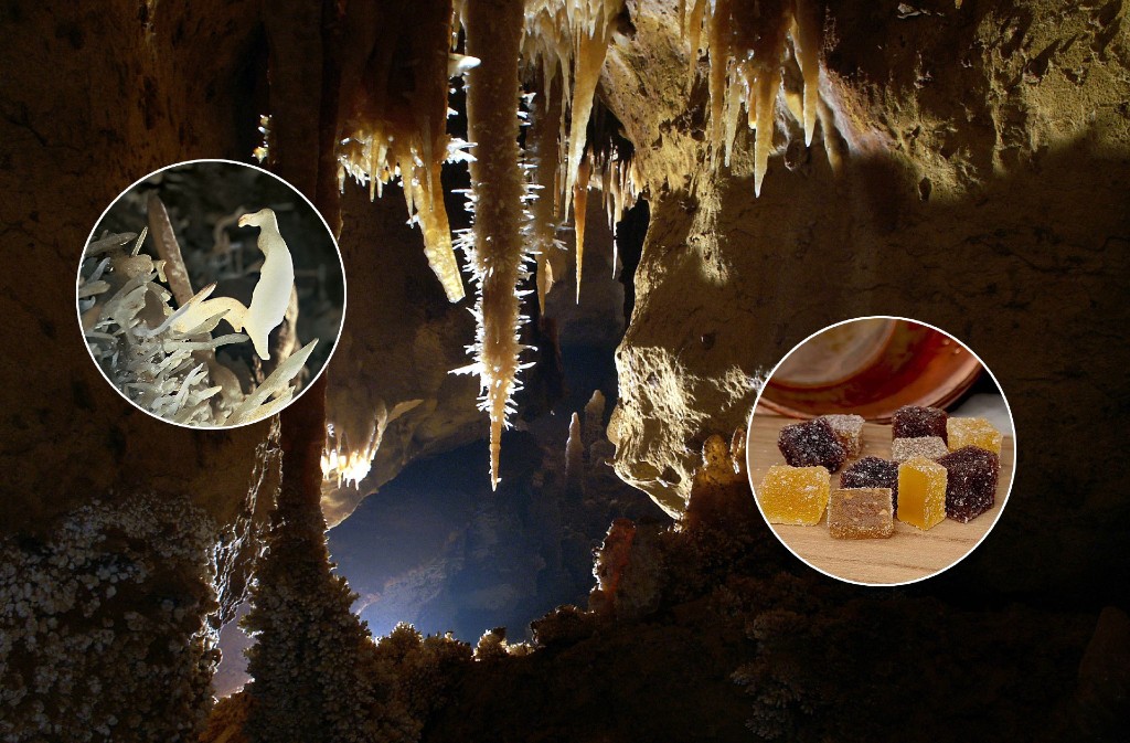 Février Gourmand à la grotte de Maxange