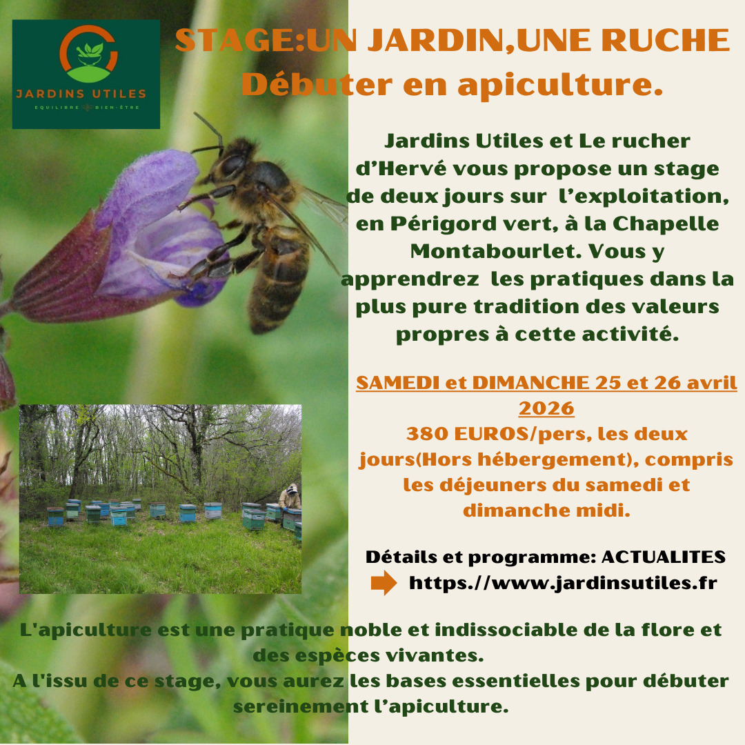 Stage Apiculture en Périgord