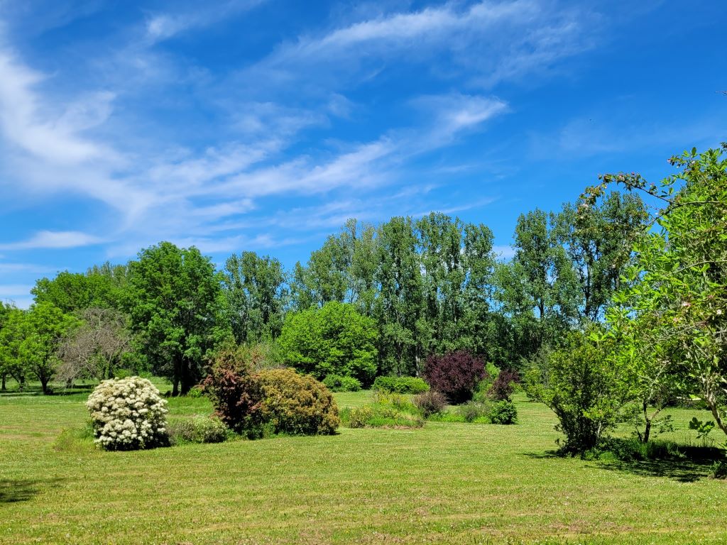 Balade commentée dans le parc botanique du Châ ...