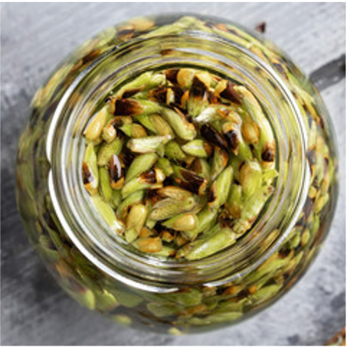 Atelier - Gemmothérapie