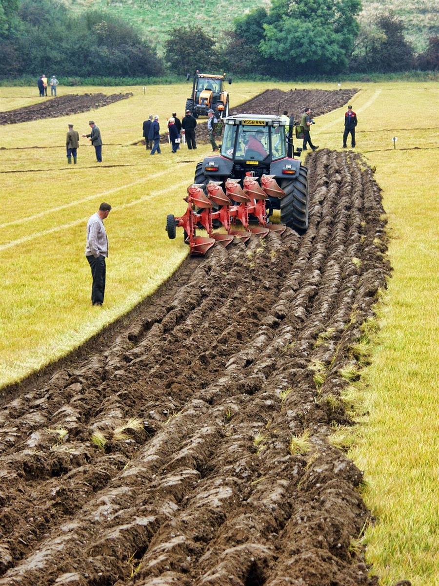 CONCOURS DE LABOUR de TRACTEURS ANCIENS