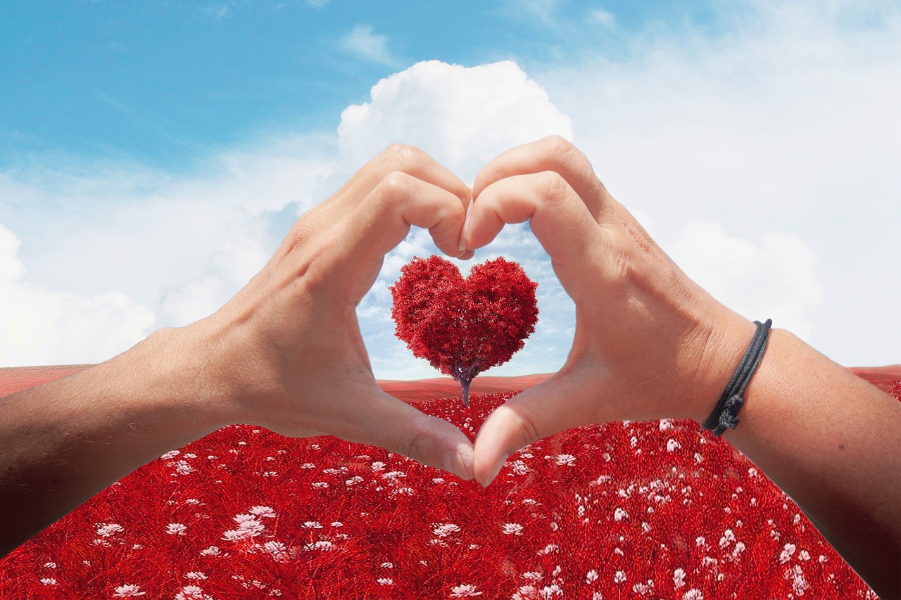 La Saint-Valentin au restaurant du Château à C ...