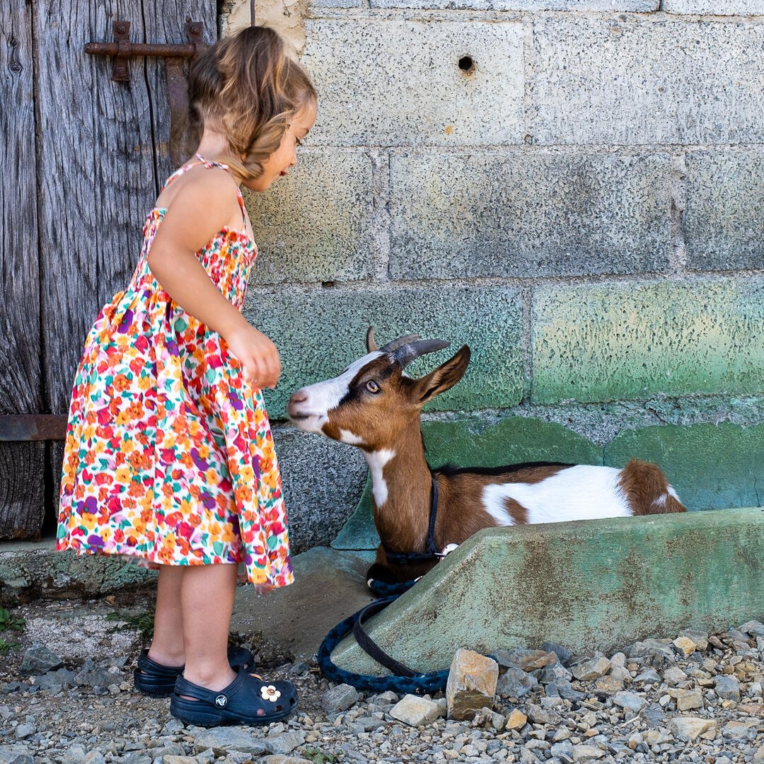 Visite active et pédagogique de la ferme Equi' ...