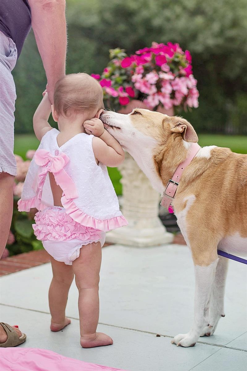 Atelier Médiation animale avec l'association " ...