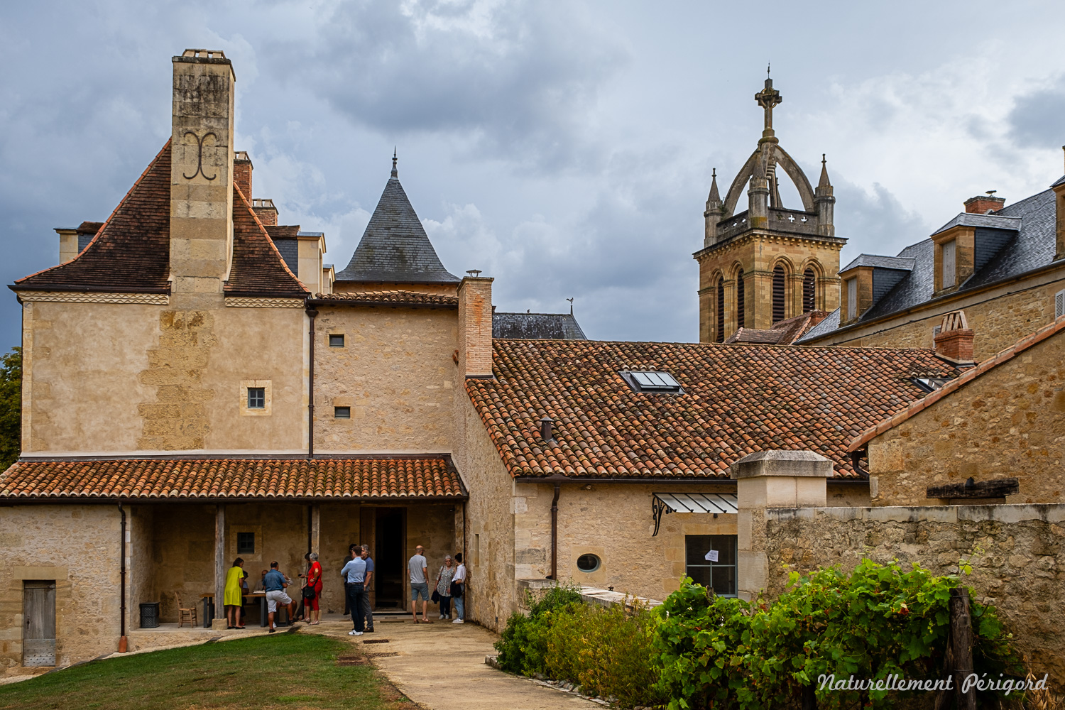 Rencontre en musique autour du film Terra Nost ...