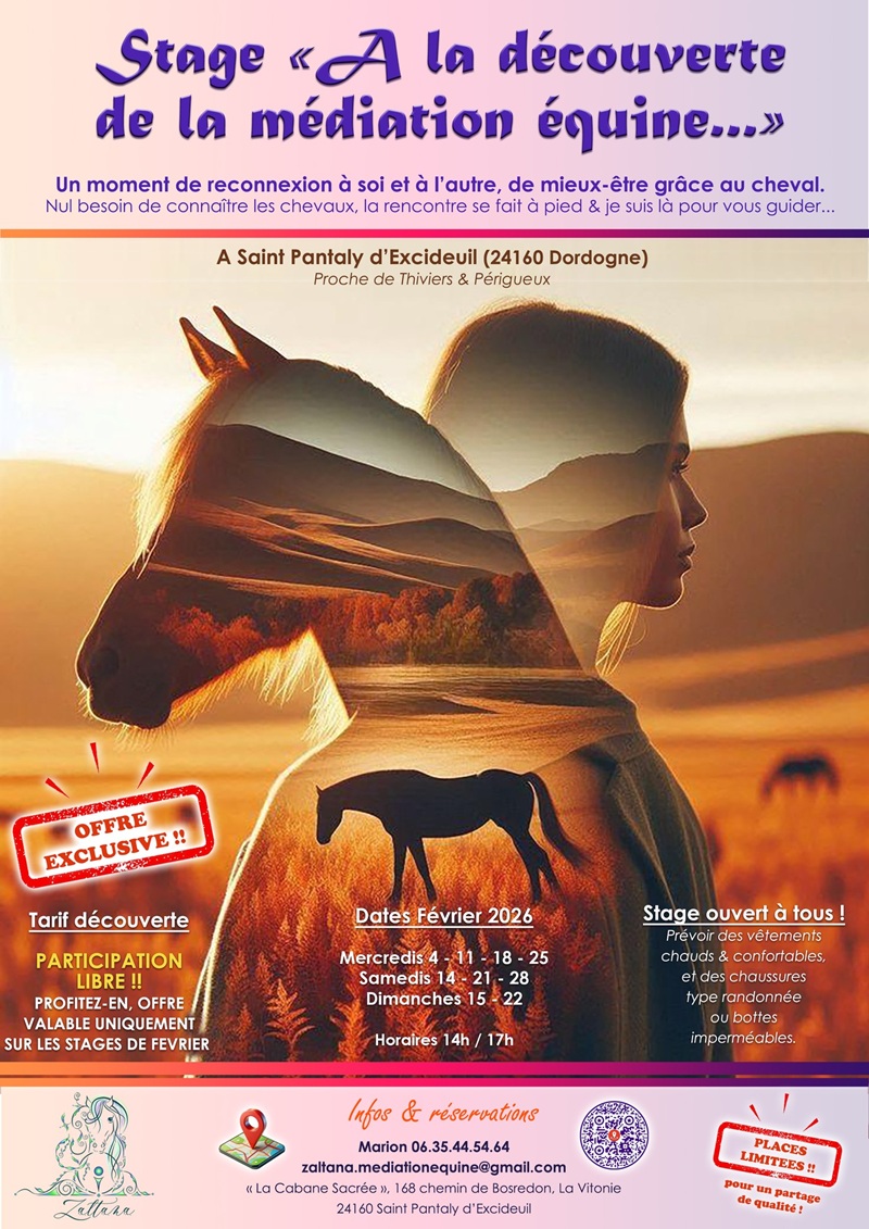 Stage À la découverte de la médiation équine