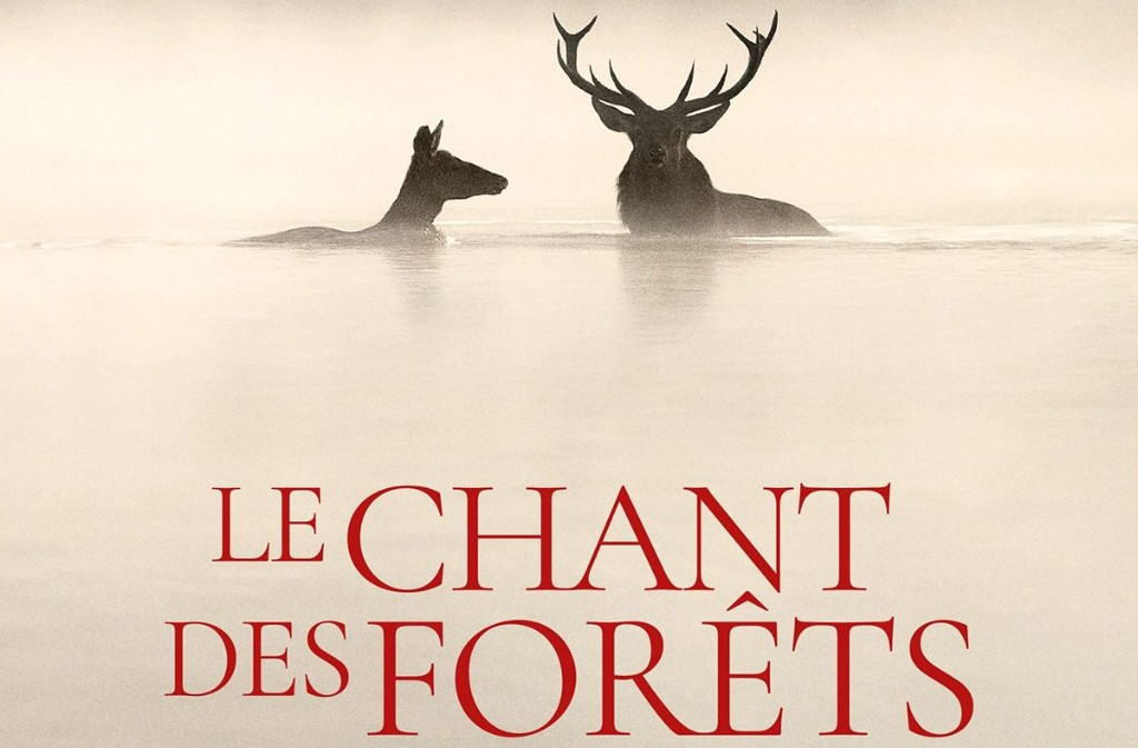 Cinéma | Le chant des forêts