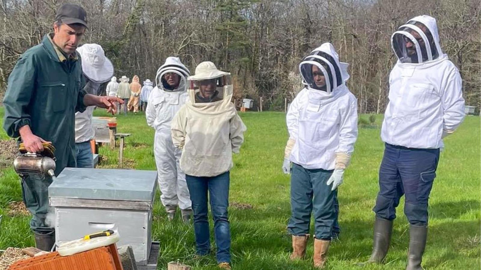 Formation apicole – Découverte de l’apiculture